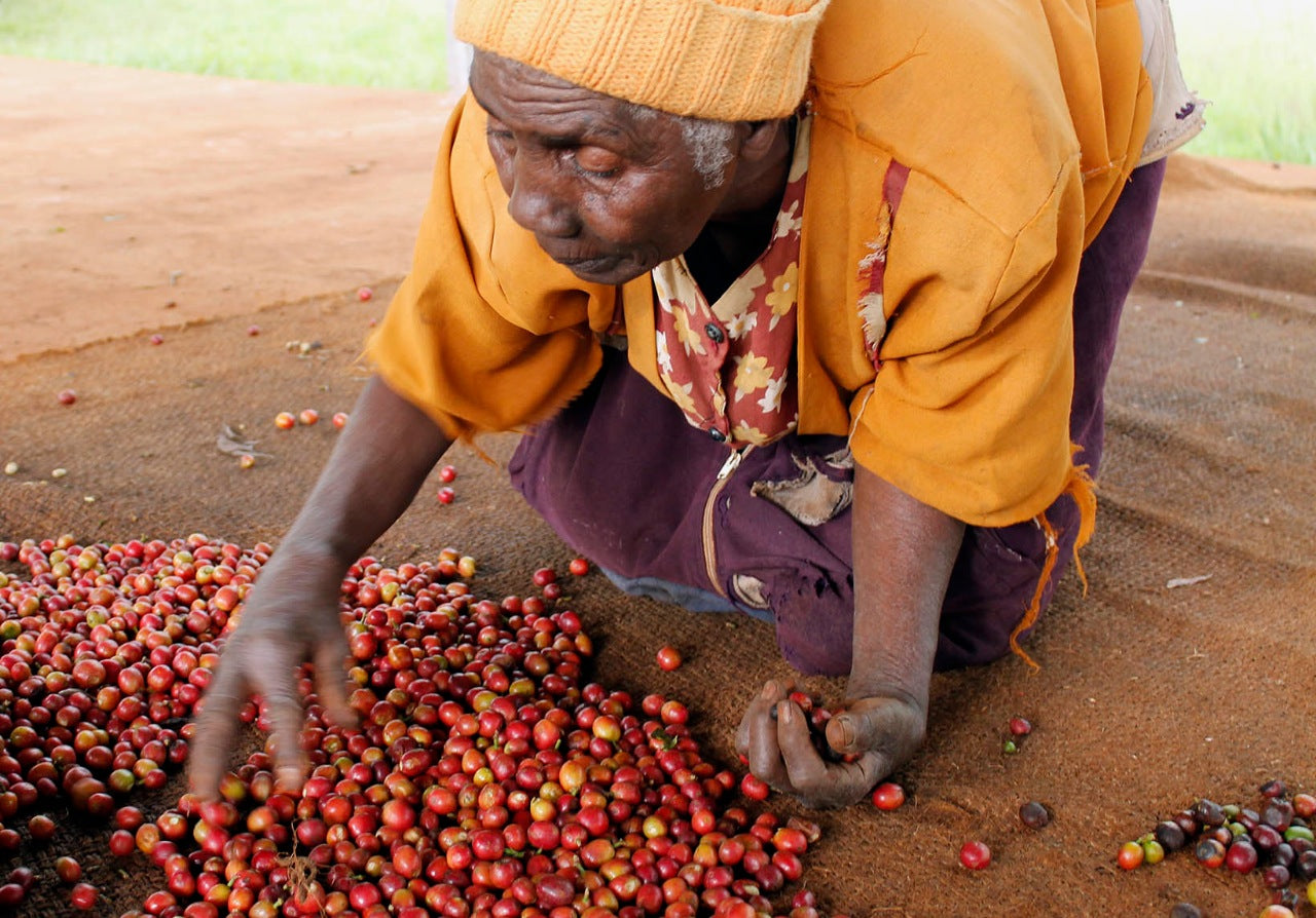 Kenya – A will for Change