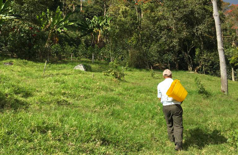 Introducing Reinaldo Chilito from Huila, Colombia