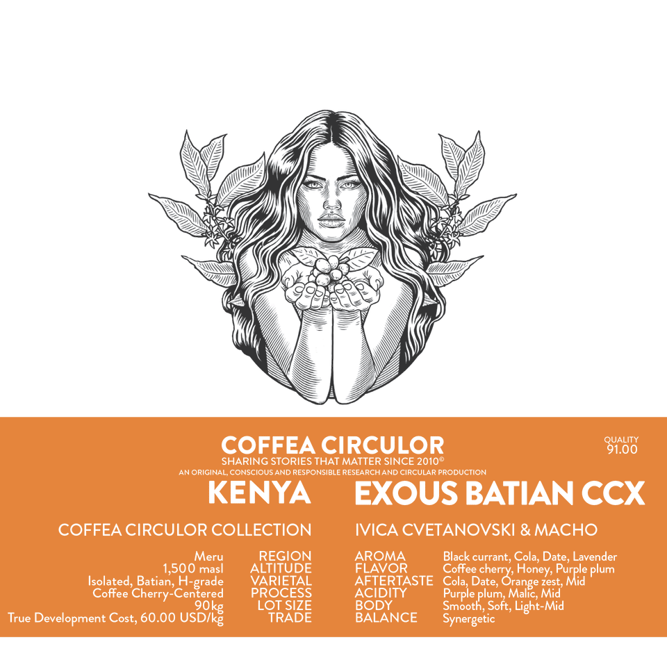KENYA Coffea Circulor Exous Isolated Batian CCX
