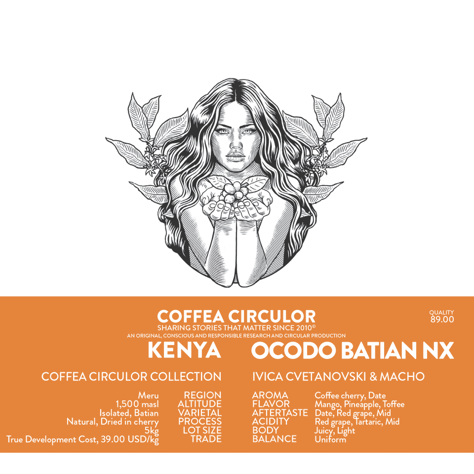 KENYA Coffea Circulor Ocodo Isolated Batian Natural NX