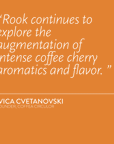 KENYA Coffea Circulor Rook Isolated Batian NYX