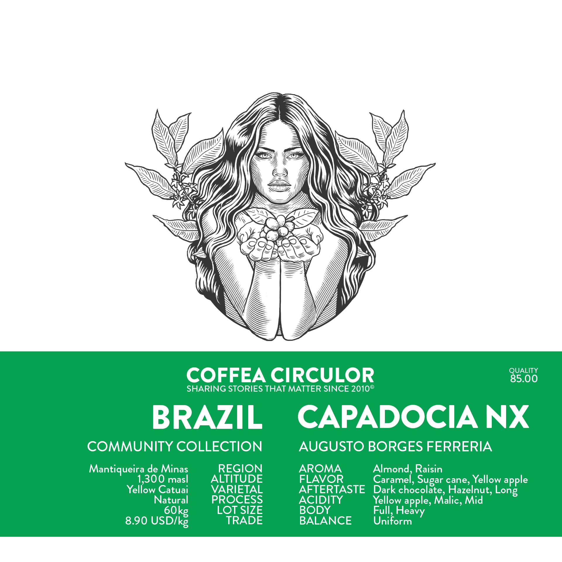 BRAZIL Capadocia Yellow Catuai Natural NX (Espresso)