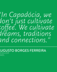 BRAZIL Capadocia Yellow Catuai Natural NX (Espresso)