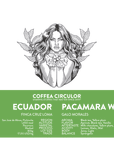 ECUADOR Finca Cruz Loma Pacamara Washed WX