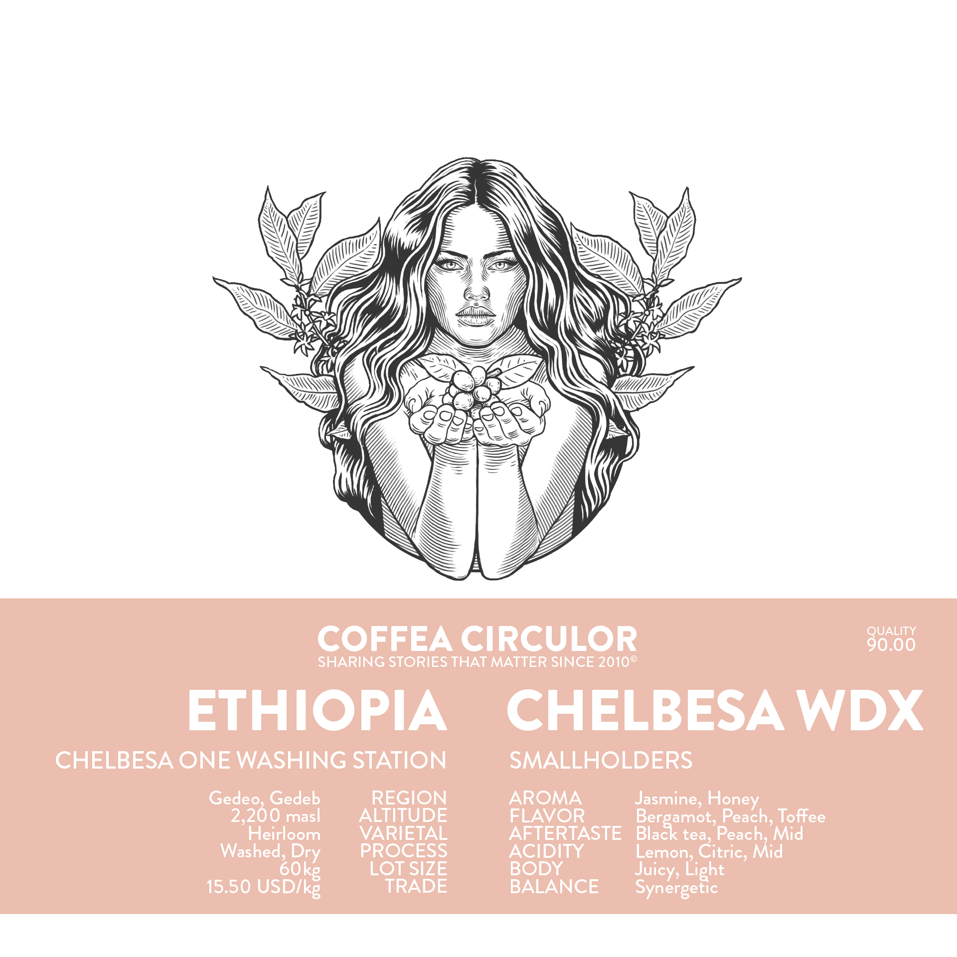 ETHIOPIA Chelbesa Washed Dry WDX packshot