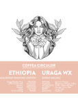 ETHIOPIA Uraga Washed WX