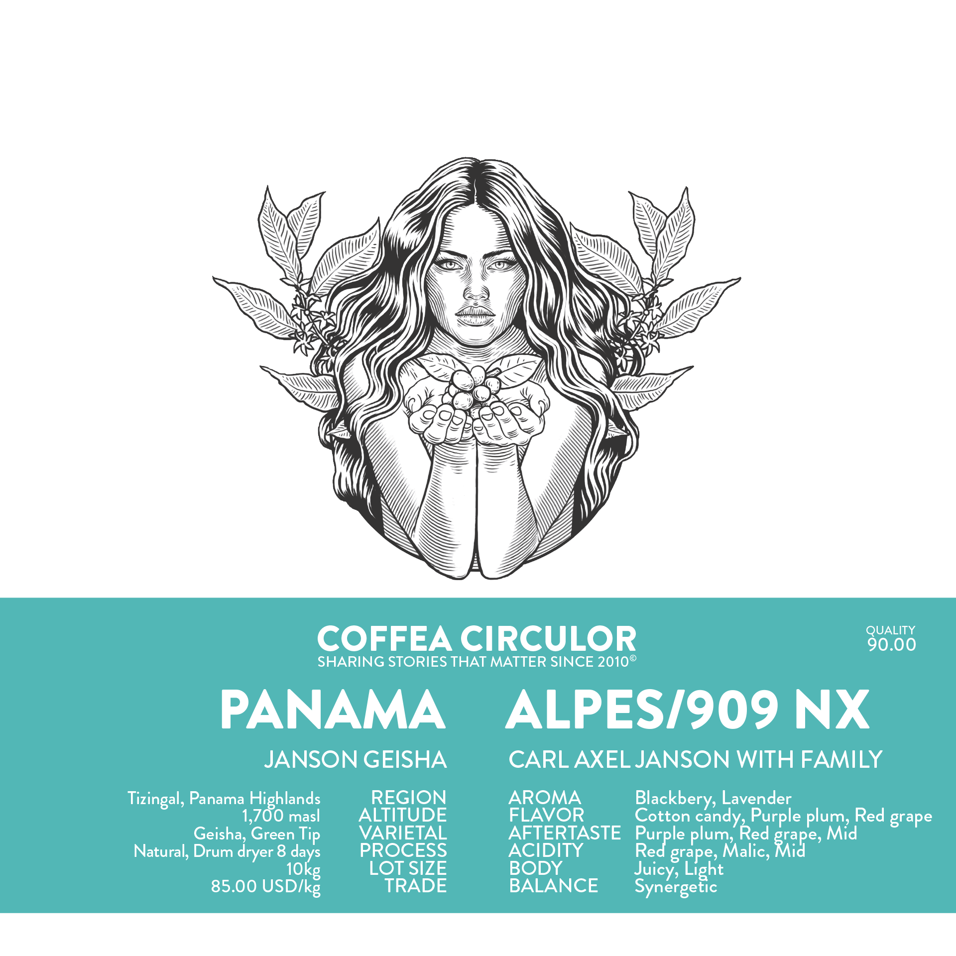 PANAMA Janson Geisha Alpes /909 Natural NX