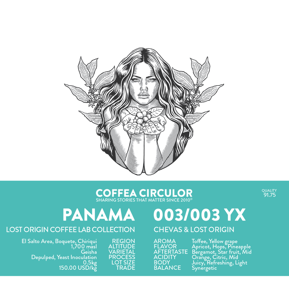 PANAMA Lost Origin Geisha 003/003 Yeast Inoculation YX