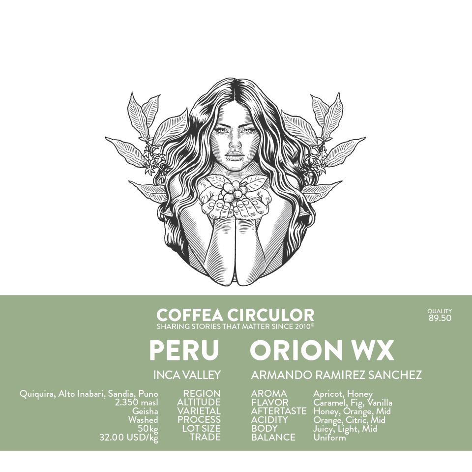 PERU Orion Geisha Washed WX