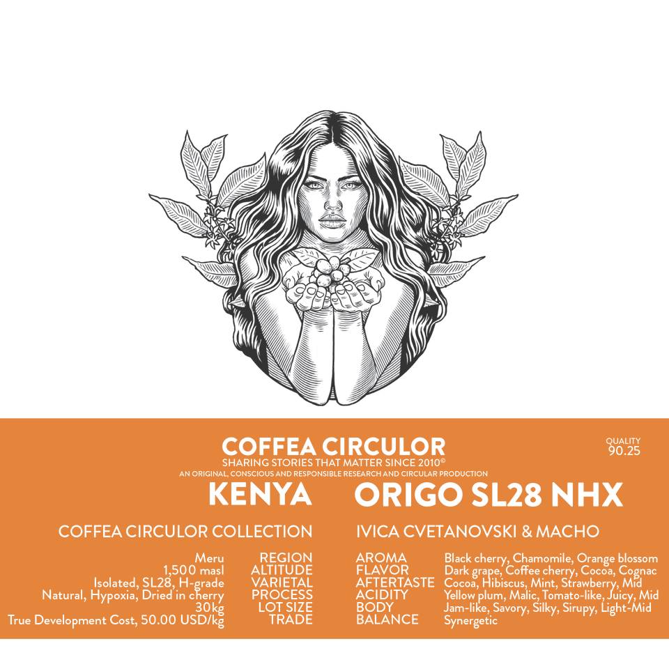 KENYA Coffea Circulor Origo Isolated SL28 Natural Hypoxia NHX