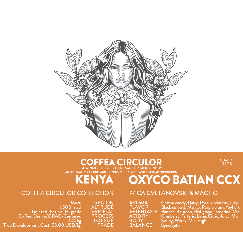 KENYA Coffea Circulor Oxyco Isolated Batian Coffee Cherry/ORAC-Centered CCX