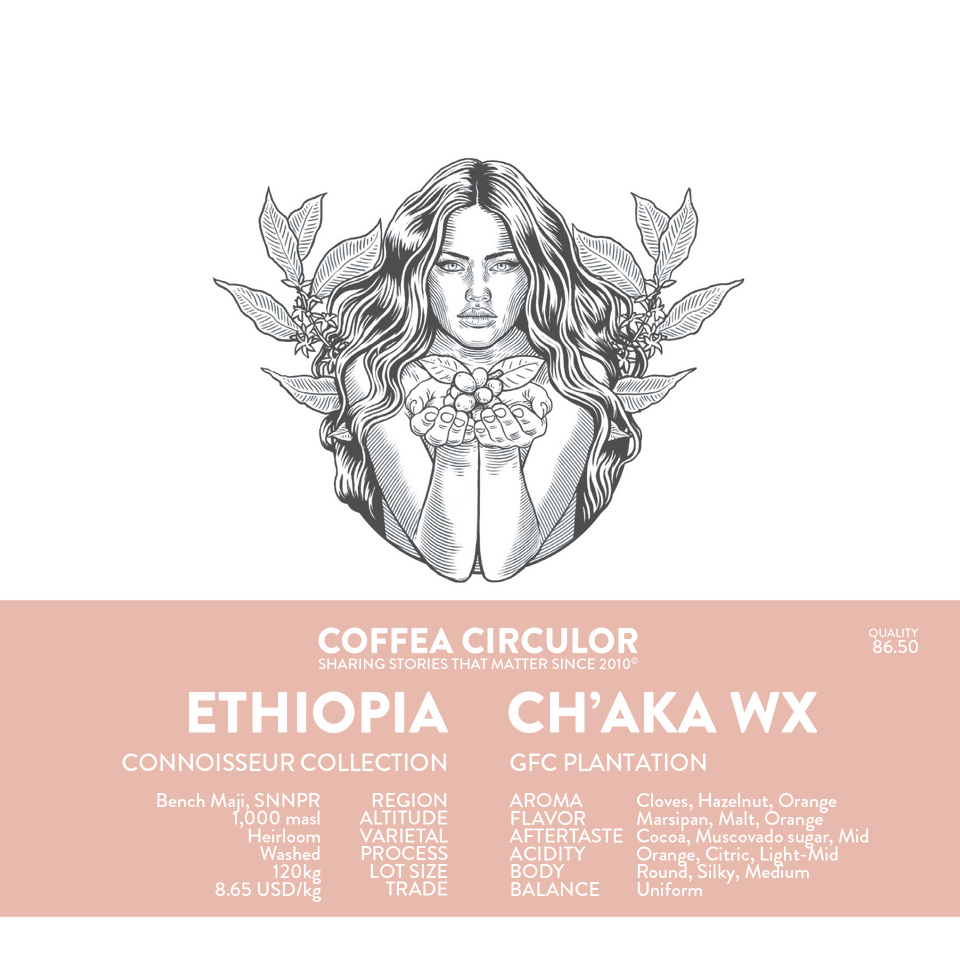 ETHIOPIA Chaka Washed WX (Espresso)