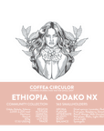 ETHIOPIA Odako Natural NX