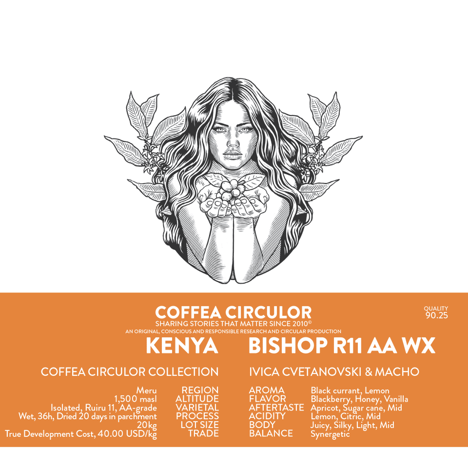 KENYA Coffea Circulor Bishop Isolated Ruiru 11 AA Washed WX