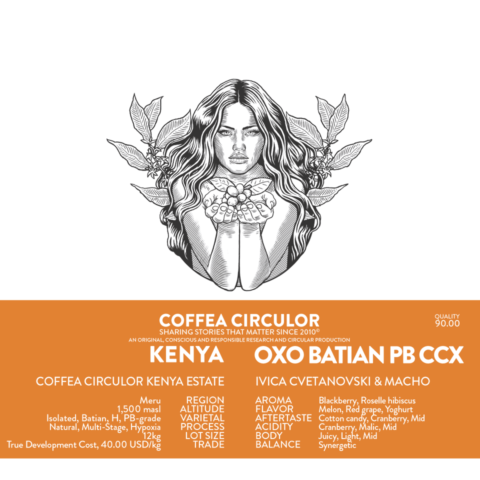 KENYA Coffea Circulor Oxo Isolated Batian CCX