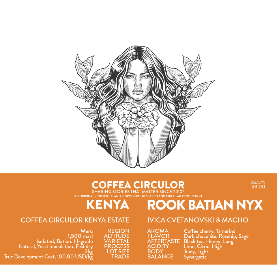 KENYA Coffea Circulor Rook Isolated Batian NYX