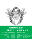 BRAZIL Caixa Yellow Bourbon Natural NX (Espresso)