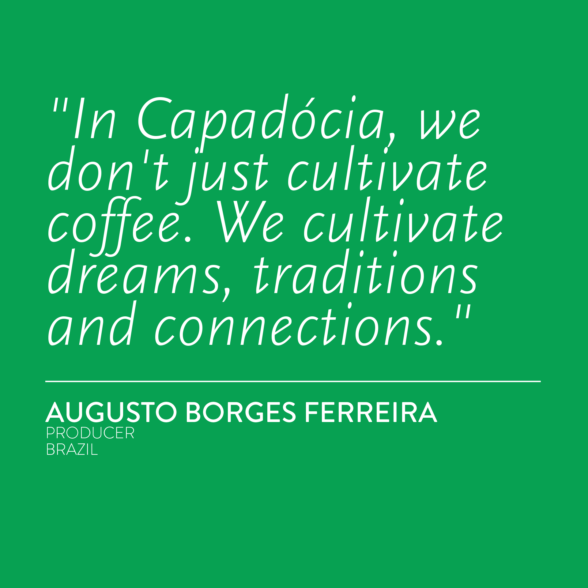 BRAZIL Capadocia Yellow Catuai Natural NX (Espresso)