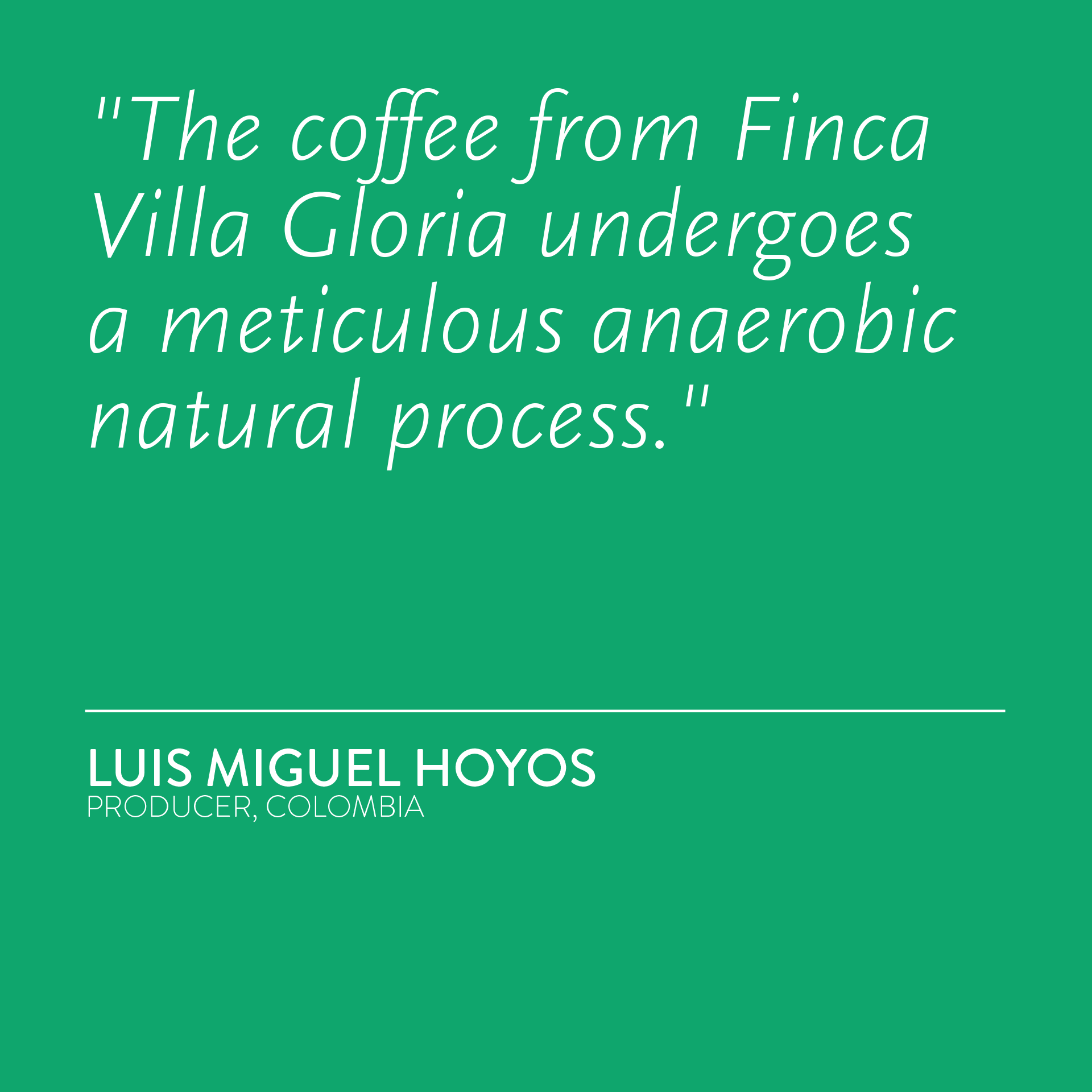 COLOMBIA Leyenda Pink Bourbon Natural Anaerobic NAX