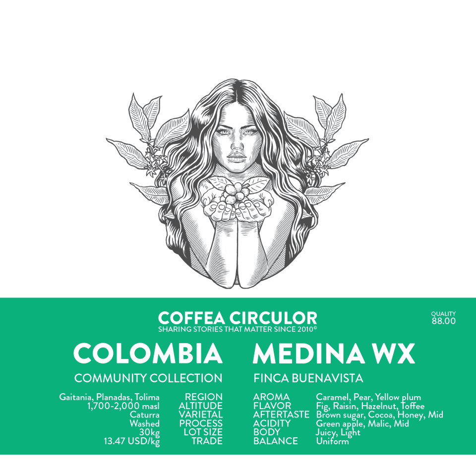 COLOMBIA Medina Washed WX