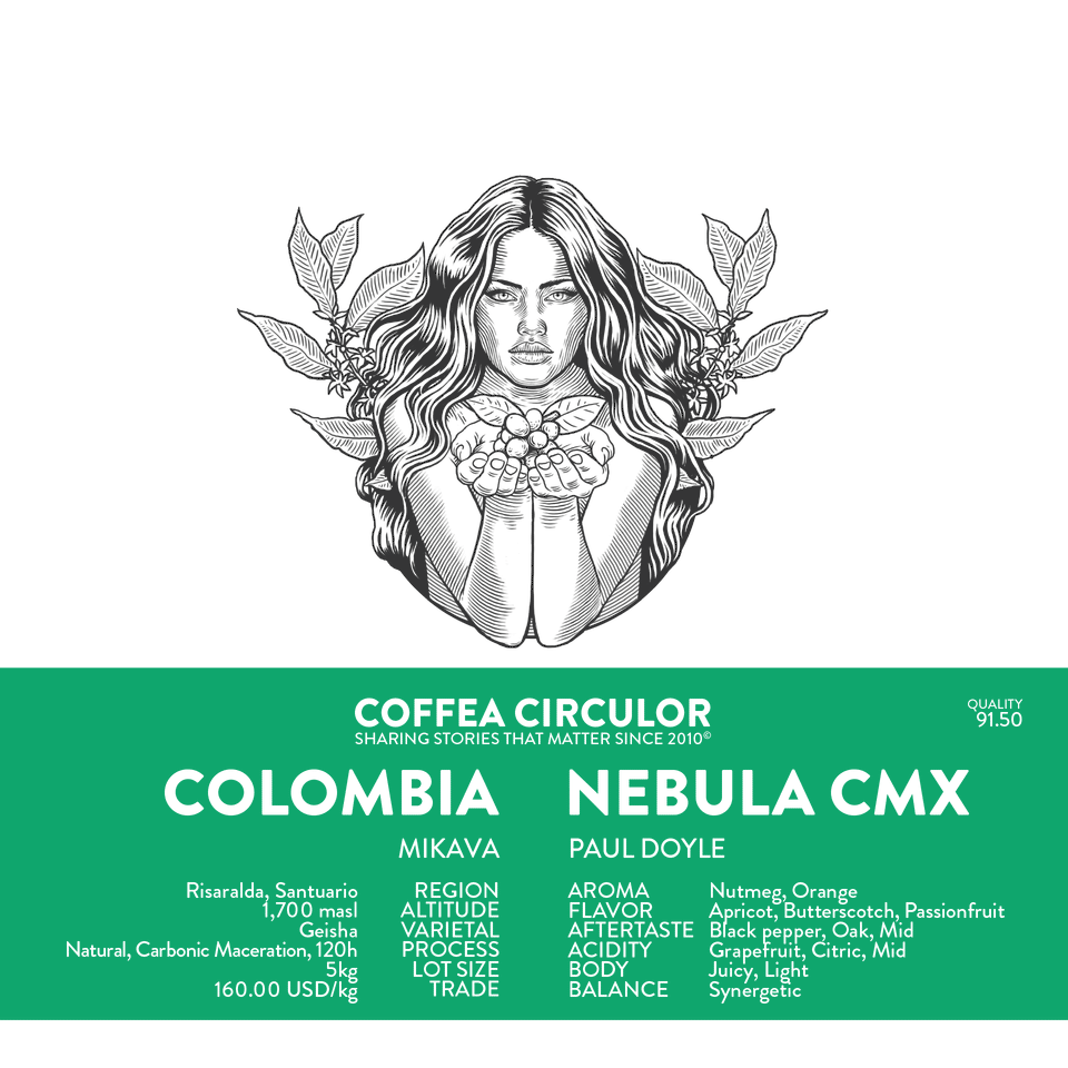 COLOMBIA Mikava Nebula /11402 Geisha Carbonic Maceration 120h CMX