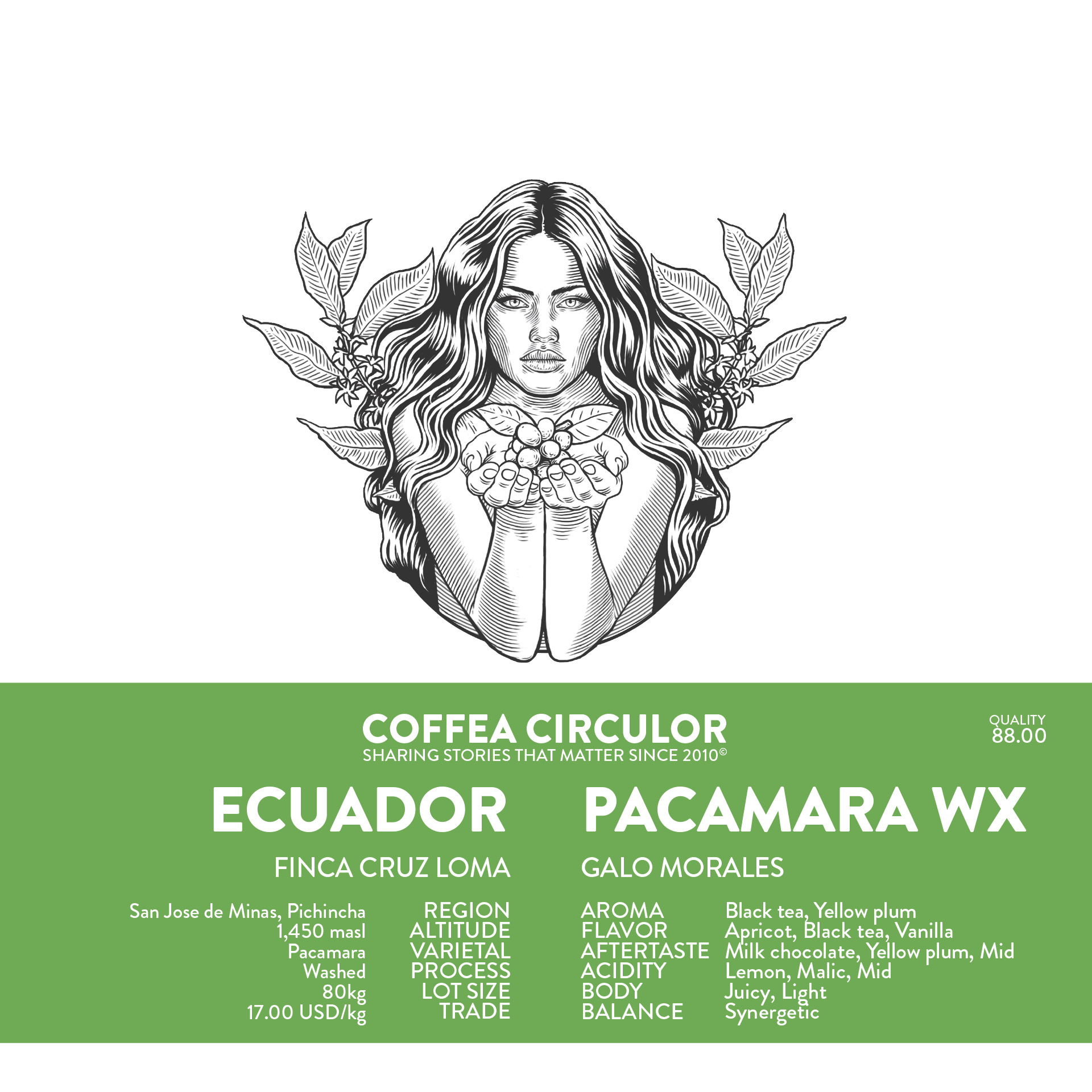 ECUADOR Finca Cruz Loma Pacamara Washed WX