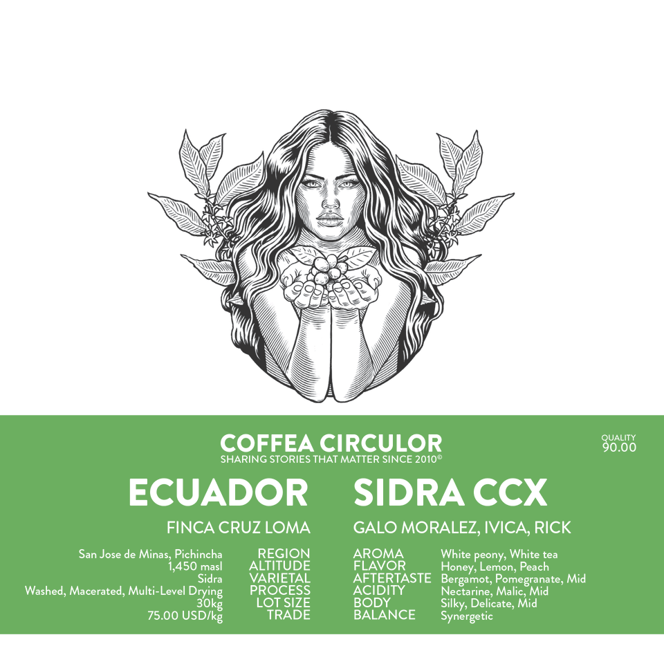 ECUADOR Finca Cruz Loma Sidra CCX