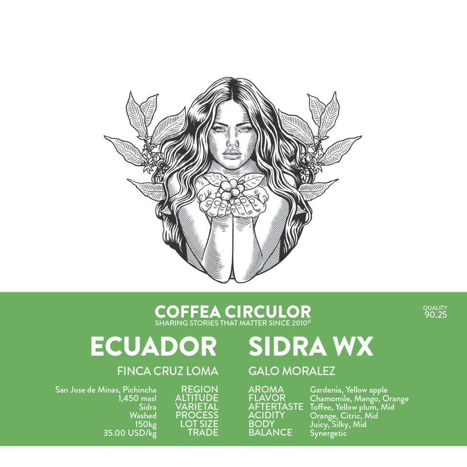 ECUADOR Finca Cruz Loma Sidra WX