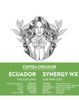 ECUADOR Finca Soledad Pepe Synergy Geisha Washed WX