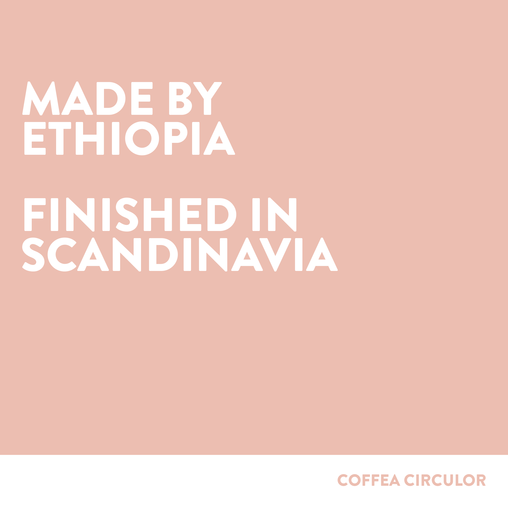 ETHIOPIA Elto Arbegona Washed WX