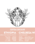 ETHIOPIA Chelbesa Washed Dry WDX