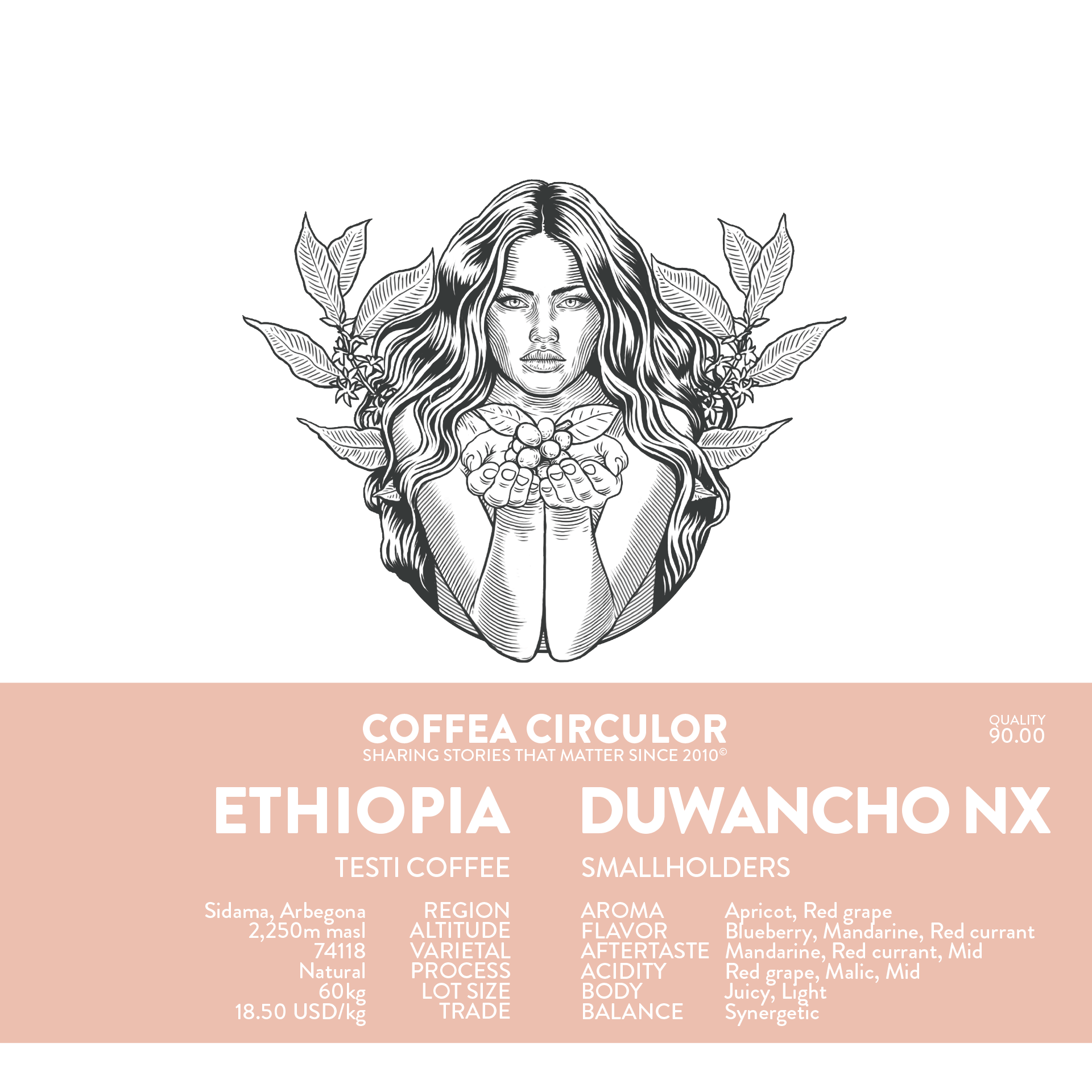 ETHIOPIA Duwancho Natural NX
