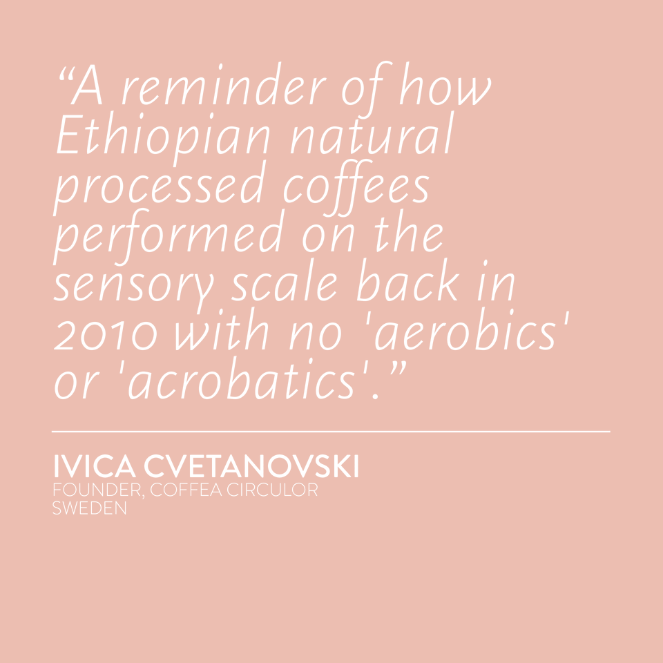 ETHIOPIA Getana Natural Anaerobic NAX