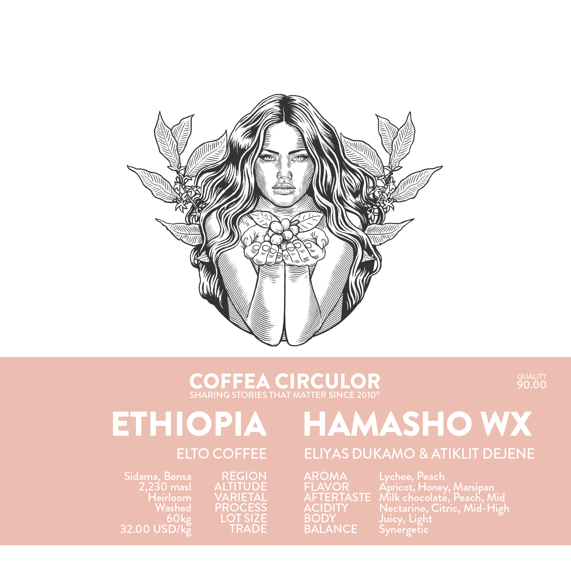 ETHIOPIA Elto Hamasho Washed WX
