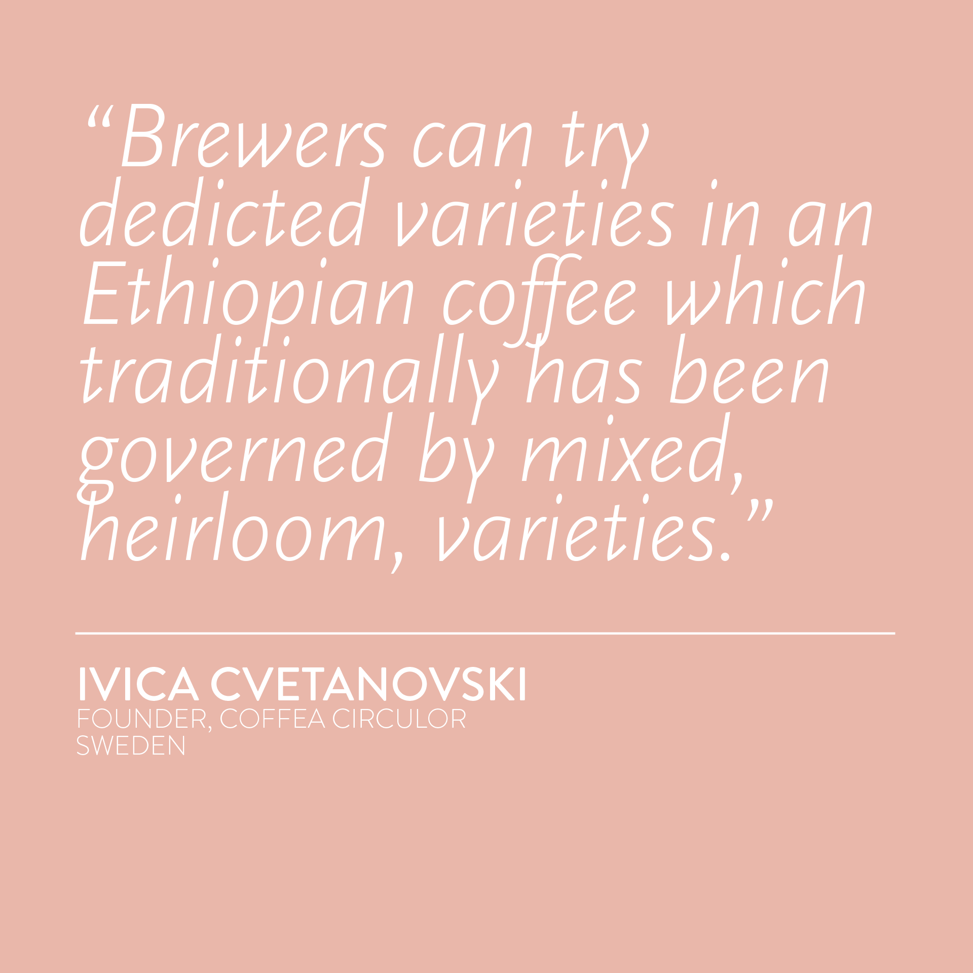 ETHIOPIA Kiburi Washed WX