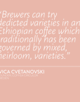 ETHIOPIA Kiburi Washed WX