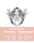 ETHIOPIA Daye Bensa Rumudamo Washed WX