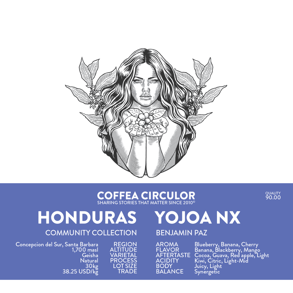 HONDURAS Yojoa Geisha Natural NX