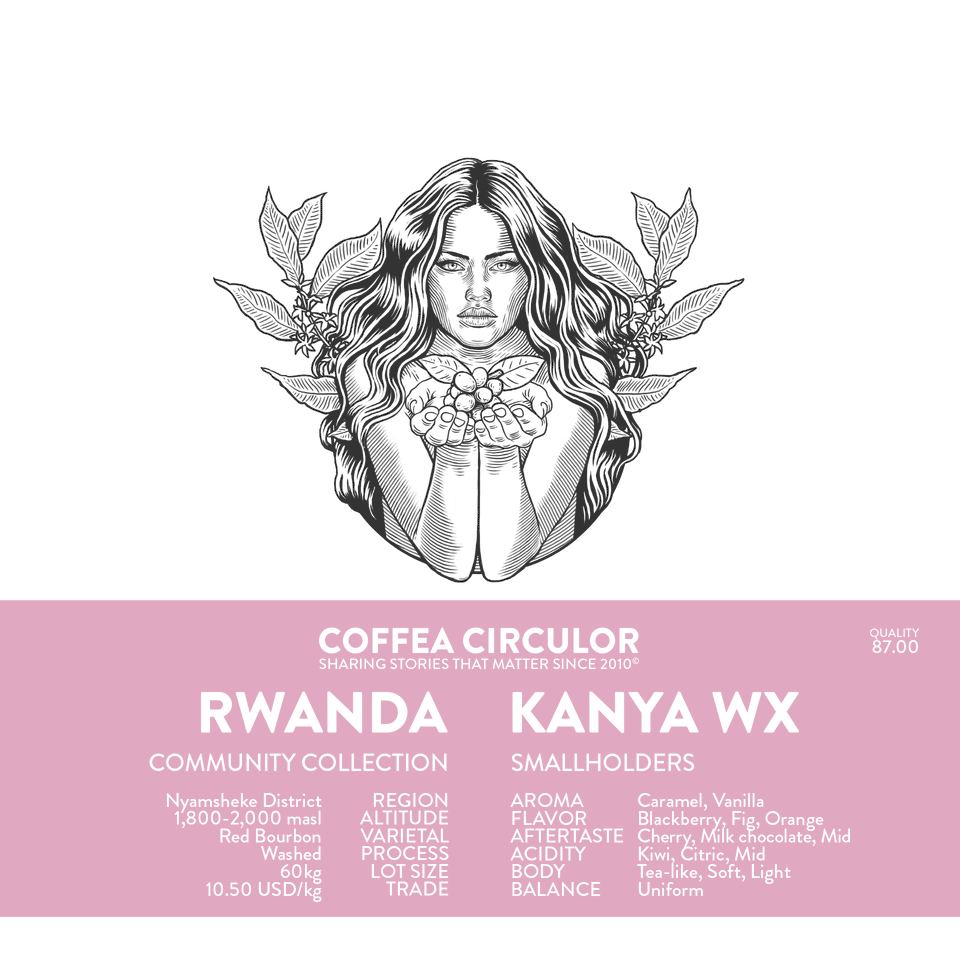 RWANDA Kanya Washed WX