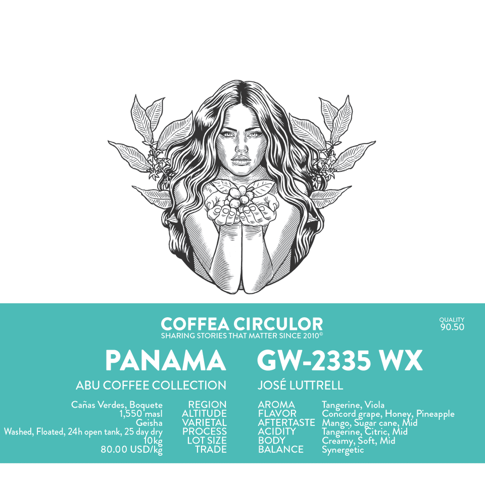PANAMA Abu GW-2335 Geisha Washed WX