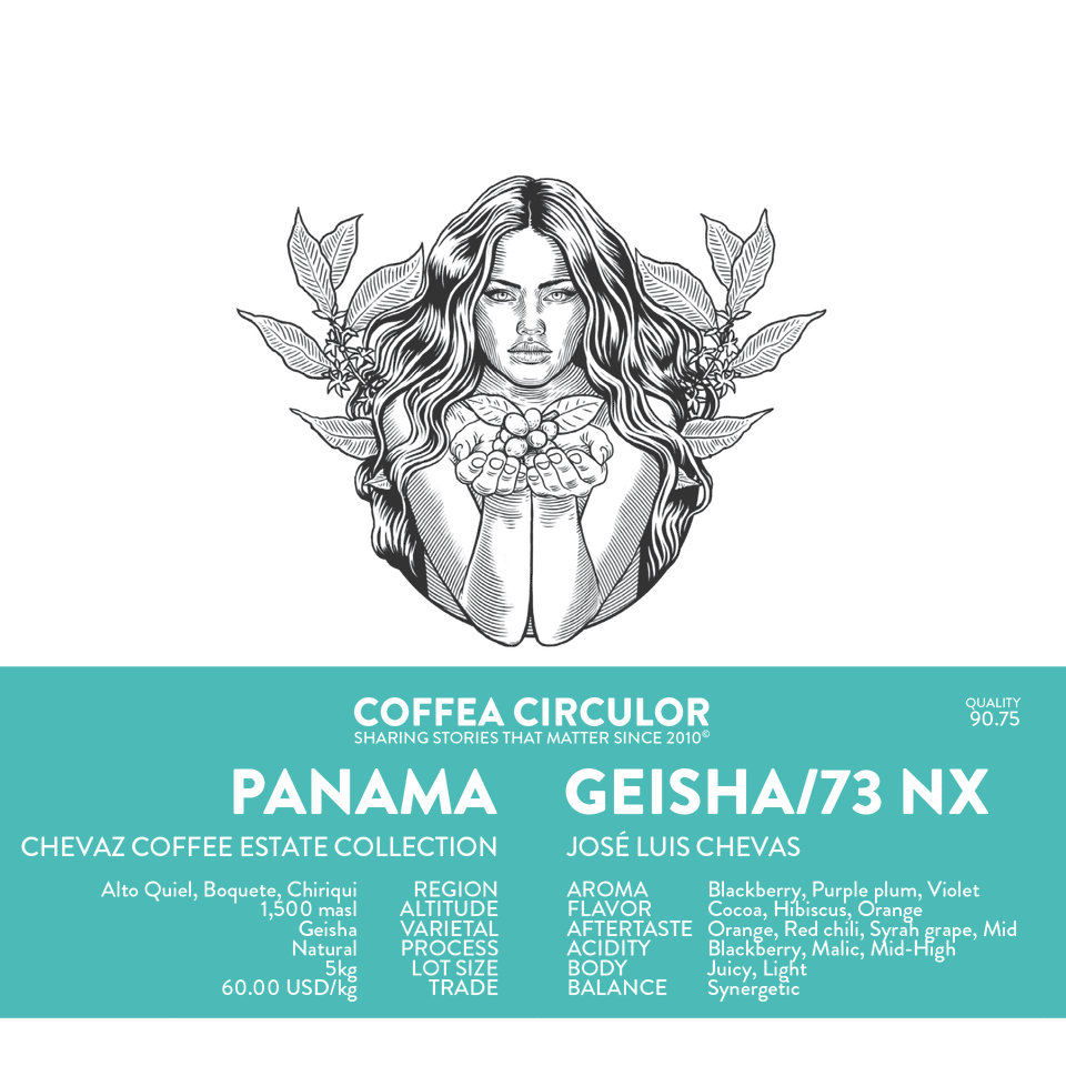 PANAMA Chevas Geisha /73 Natural NX