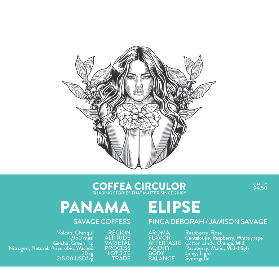 PANAMA Savage Coffees Finca Deborah Elipse Nitrogen Macerated Natural