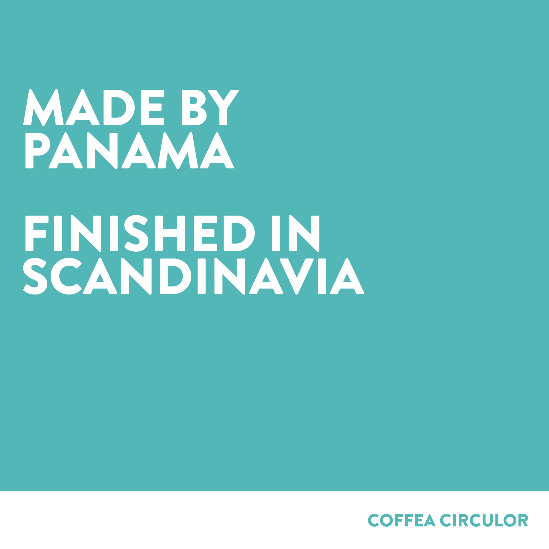 PANAMA Savage Coffees Iridescence Geisha Carbonic Macerated Washed