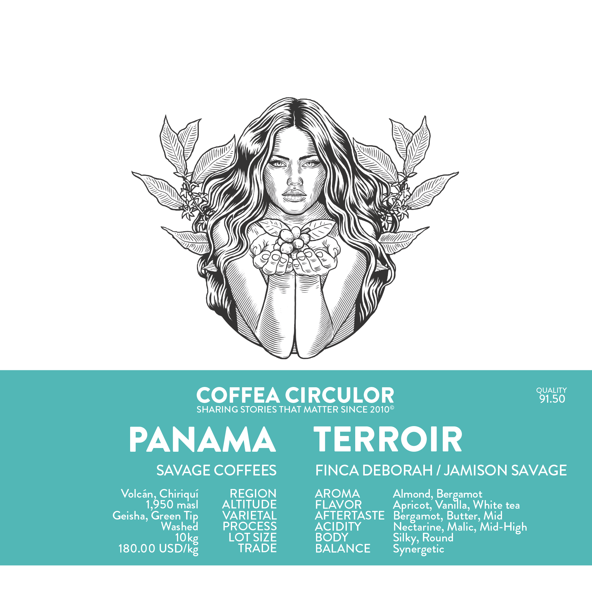 PANAMA Savage Coffees Finca Deborah Terroir Geisha Washed