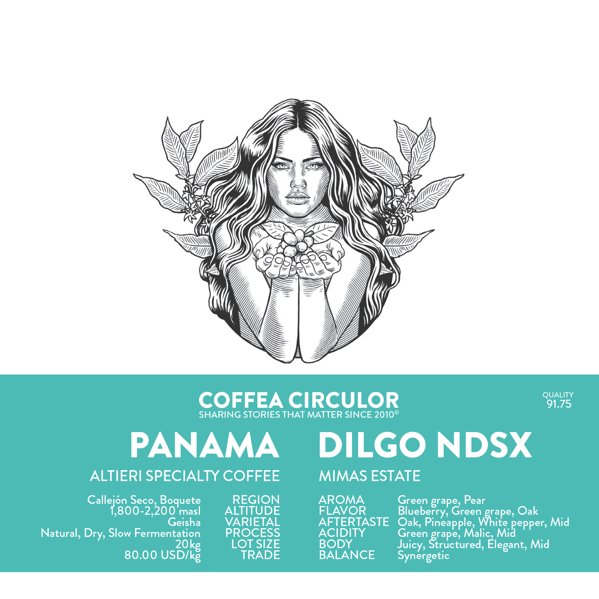 PANAMA Altieri Dilgo Geisha Natural Dry Slow NDSX