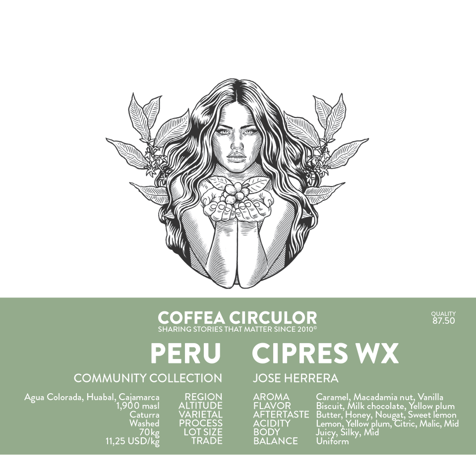 PERU Cipres Washed WX