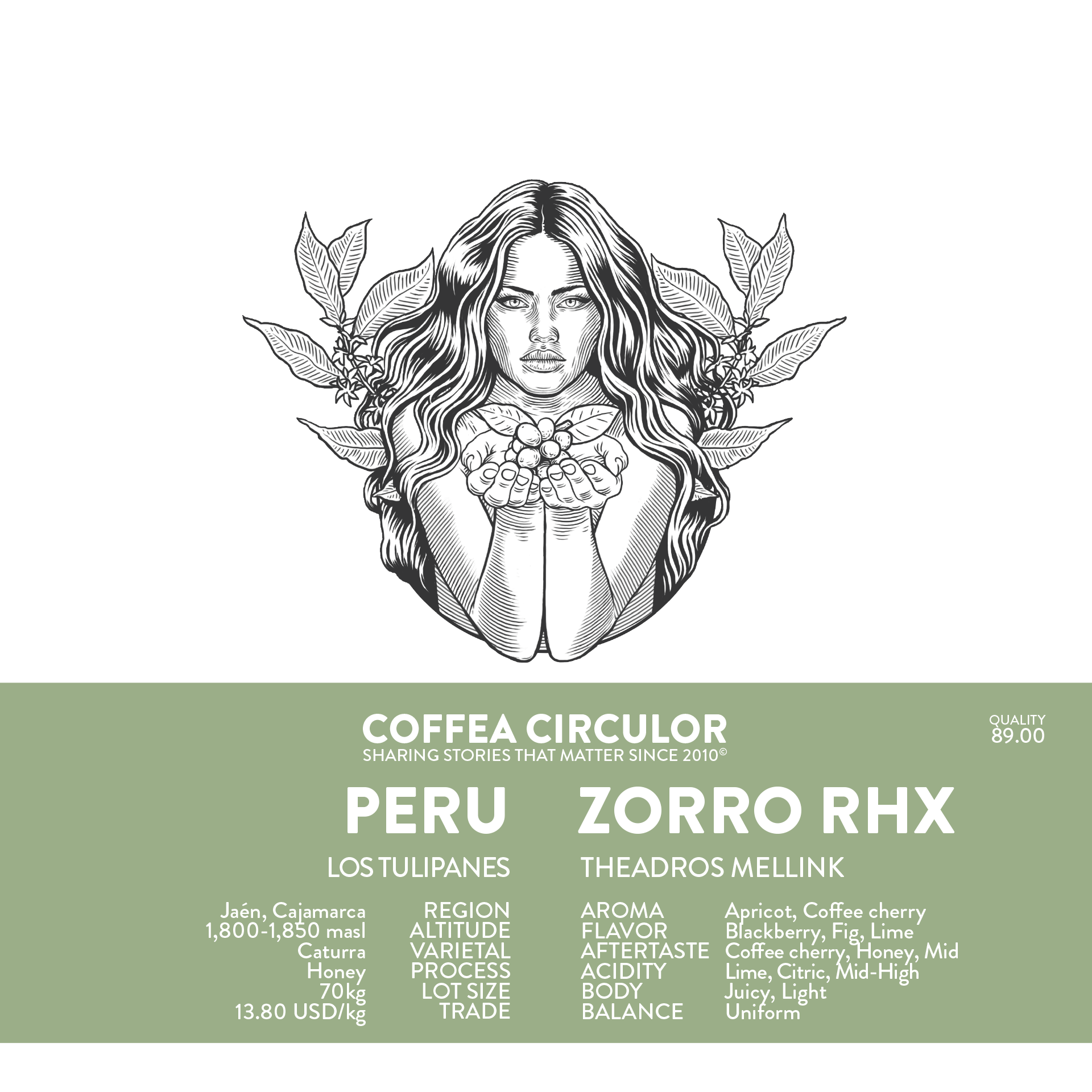 PERU Zorro Caturra Honey RHX