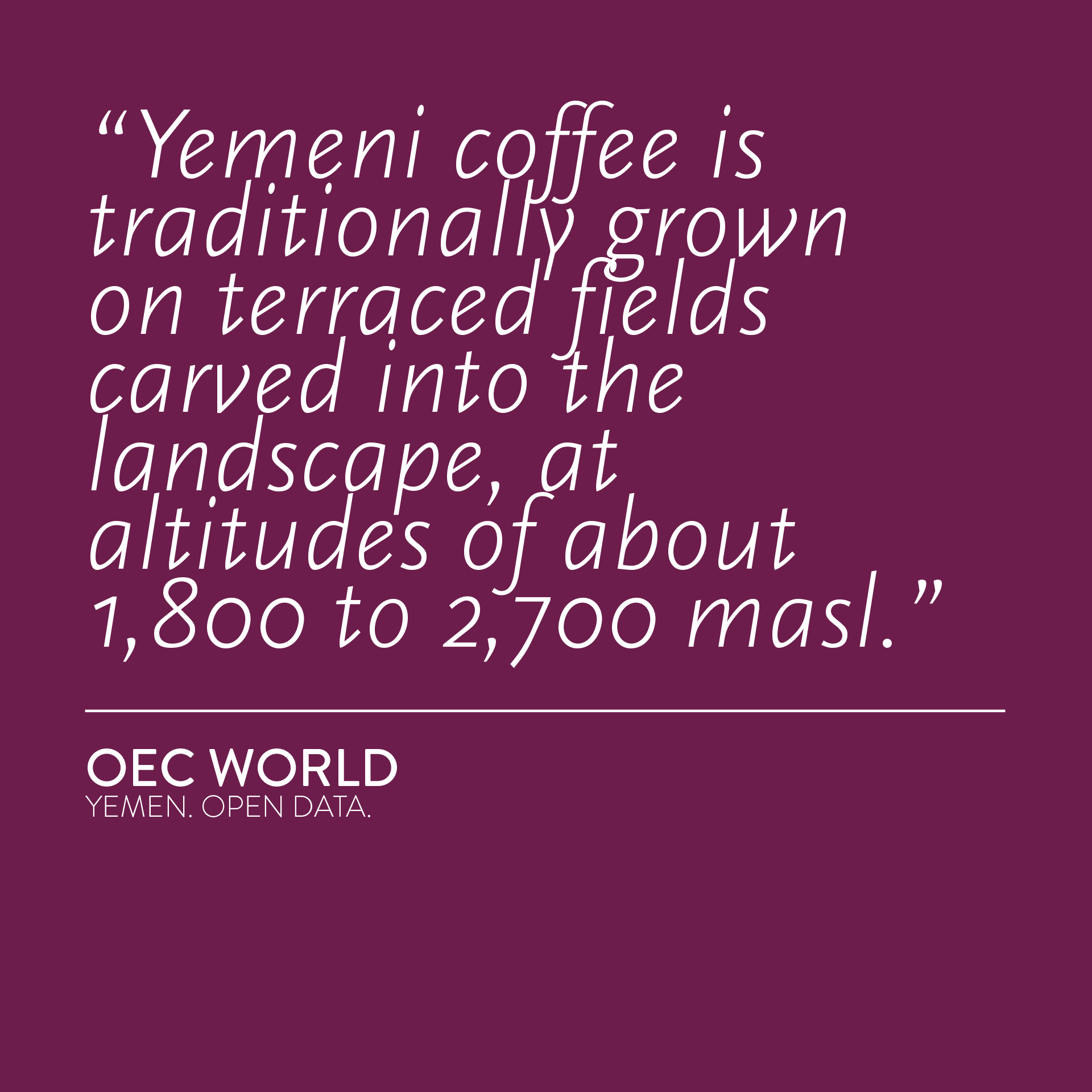 YEMEN Yahya Natural Anaerobic NAX