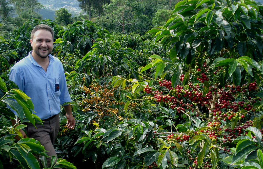 ECUADOR Galo Geisha Washed WX
