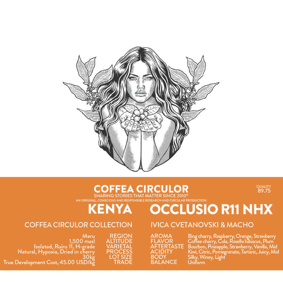 KENYA Coffea Circulor Occlusio Isolated Ruiru 11 Natural Hypoxia NHX